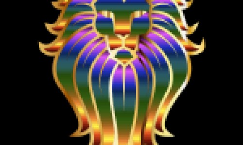 红金樱功效网 | 金樱子和红参泡水功效,金樱子红花的功效与作用