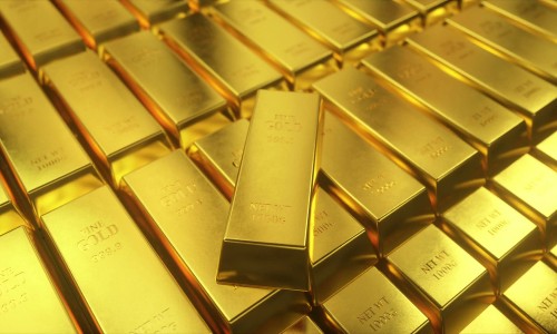 金边红樱-红金樱功效网 | 金樱子和红参泡水功效,金樱子红花的功效与作用